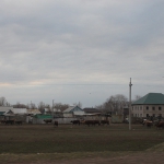 img_9274_resize