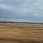 img_9277_resize