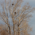 img_9282_resize