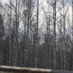 img_9340_resize